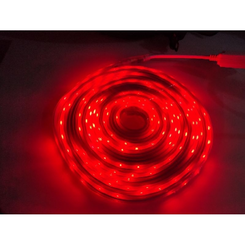 Lampu Strip Merah Putih LED Selang 10M Paket Lengkap AC 220V Lampu Hias Agustus