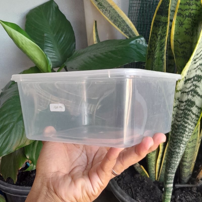 THINWALL 1500 ML PERSEGI MICROWAVE OVEN SAFE