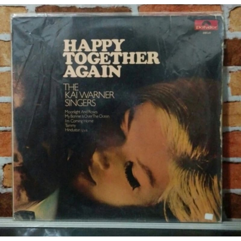 Vinyl Piringan Hitam 12 inch Happy Together Again