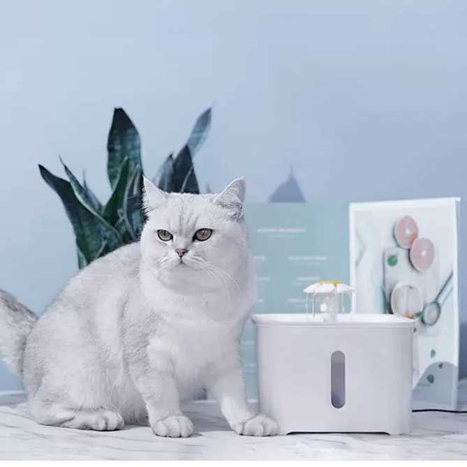 Water Dispenser Tempat Minum Anjing Kucing 2.5 Liter Dispenser Penyaring Air Bersih Sistem Mengalir Berkualitas