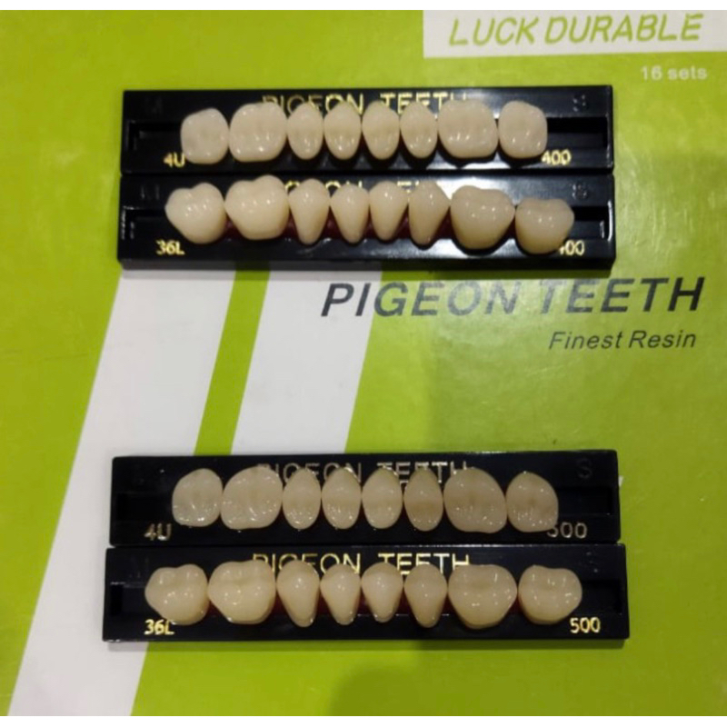 Gigi Artificial Gigi Tiruan Posterior Geraham Atas Bawah Pigeon Dental.