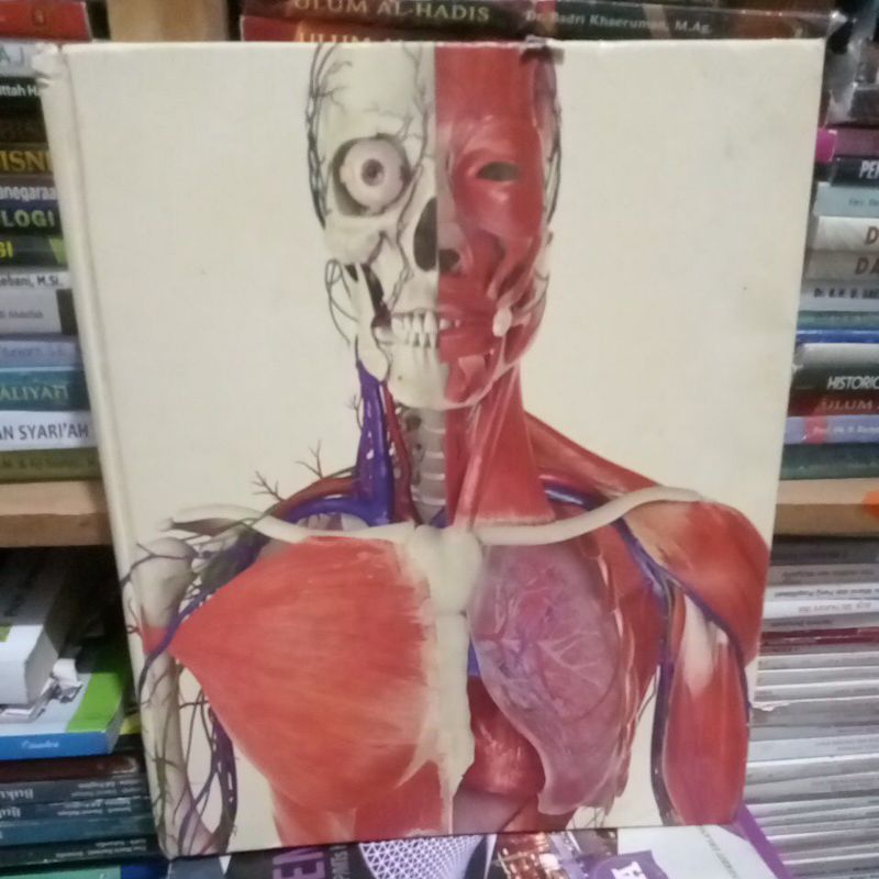 THE HUMAN BODY BOOK