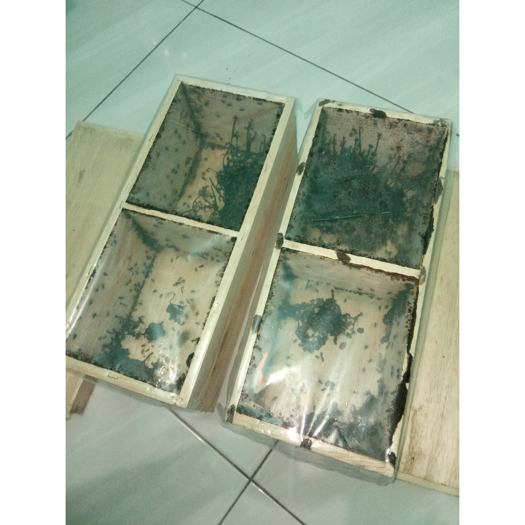 MADU SARANG KLANCENG/TRIGONA/KELULUT DRESSCHERY