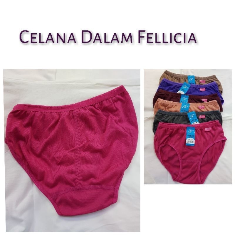 12 PCS/ LUSINAN/3201/FELLICIA Warna Gelap | Celana Dalam Wanita Jahitan Belakang