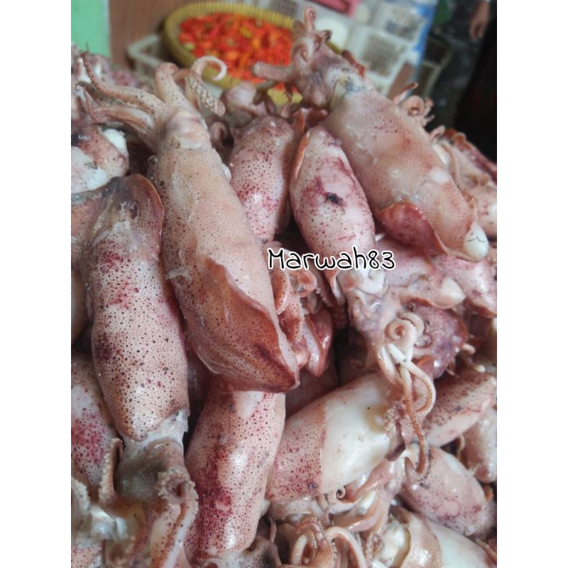 

ikan asin cumi sontong ikan asin cumi kualitas super berkualitas harga murah 1kg
