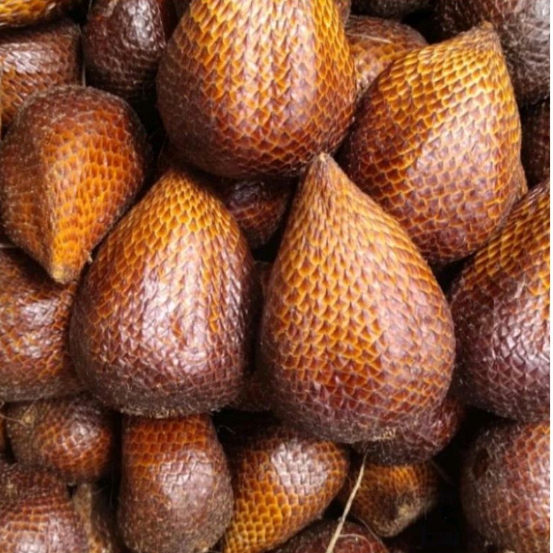 

BUAH SALAK PONDOH FRESH (1kg)