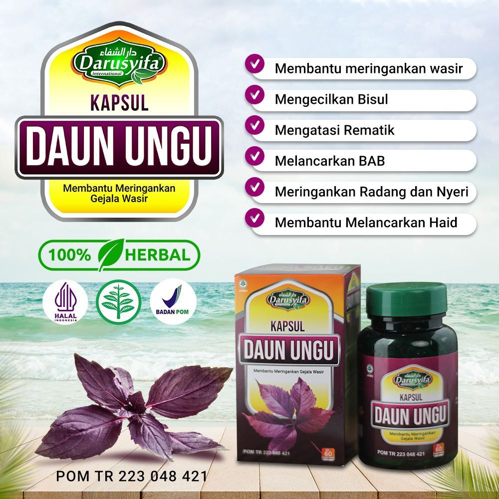 Daun Ungu Kapsul Daun Ungu Asli Darusyifa Redakan Ambeien & Wasir Isi 60 Kapsul Original