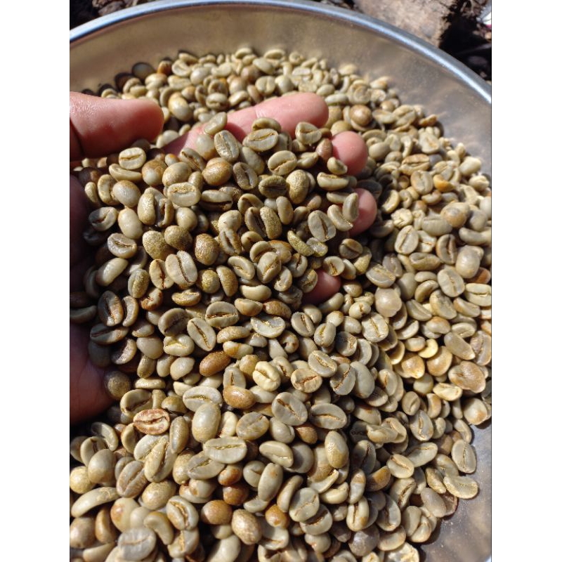 

ARABIKA PAGARALAM NATURAL PROCESS