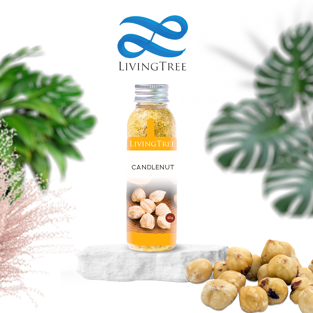 

Kemiri bubuk 60gr Candlenut Powder 100% Rempah Alami LivingTree