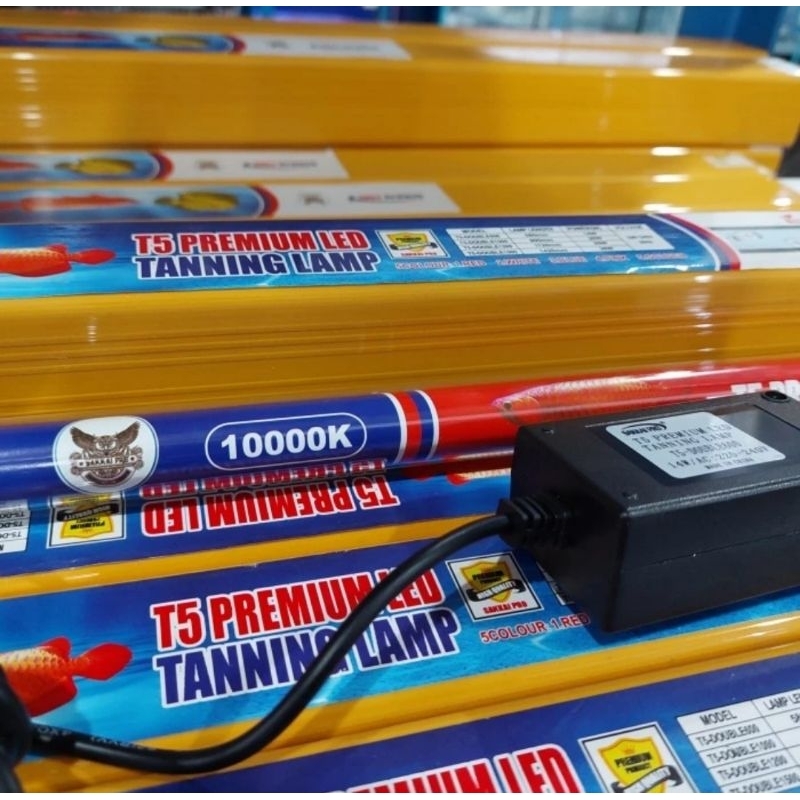 Lampu Tanning Sakkai Pro T5 Double E 600