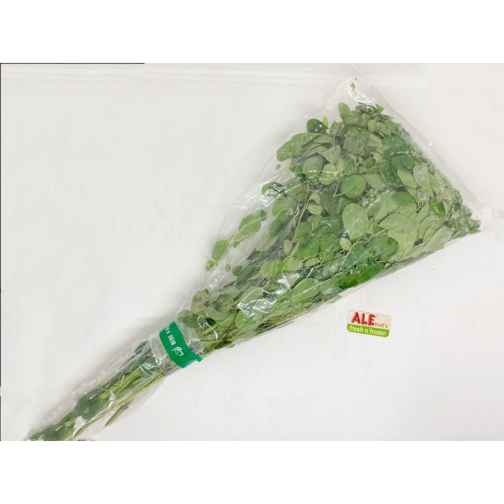 

Daun kelor fresh, daun kelor, daun kelor segar