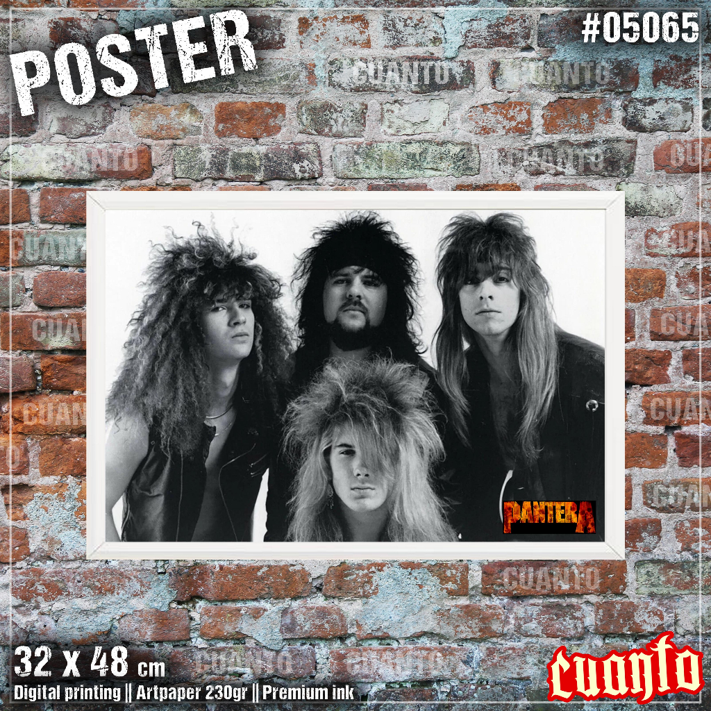 Poster Band Pantera