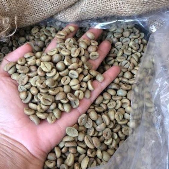 

Biji Kopi 1kg Green Bean Robusta