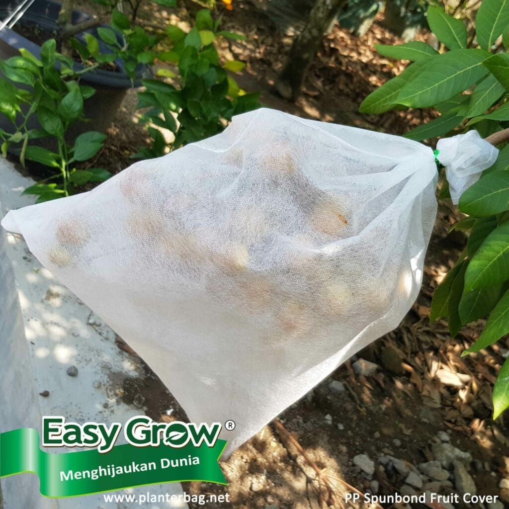 Fruit cover easy grow - pembungkus buah - brongsong buah