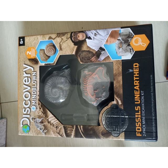 DISCOVERY MINDBLOWN FOSSIL UNEARTHED new original