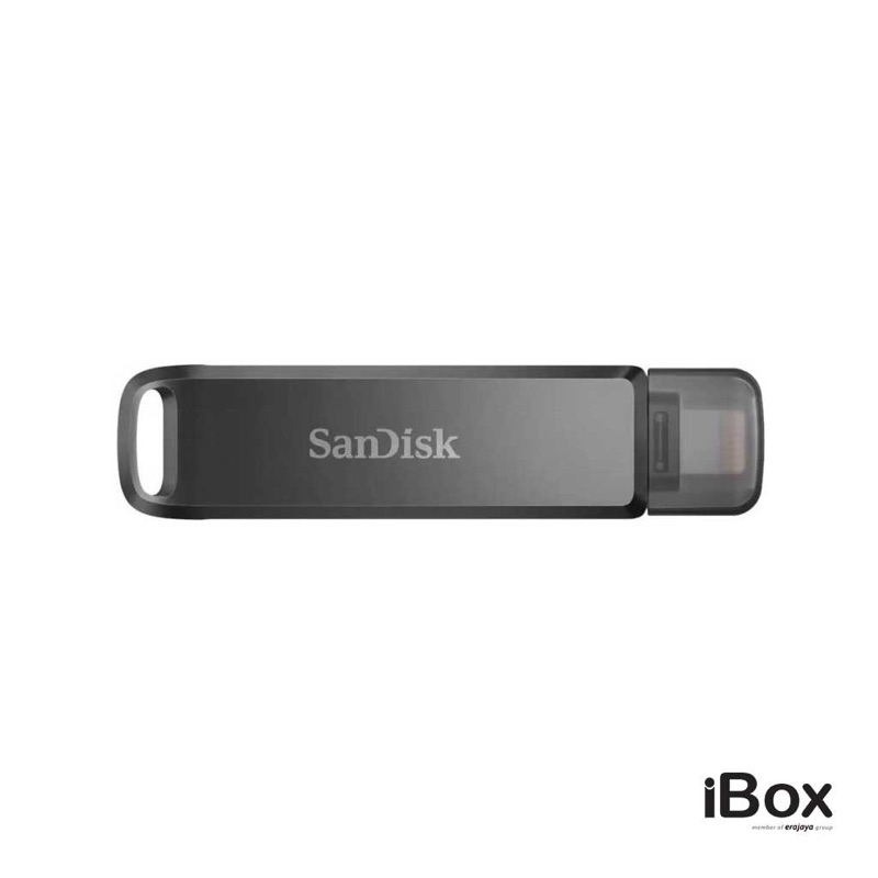 flashdisk IXPAND for ipad 256gb