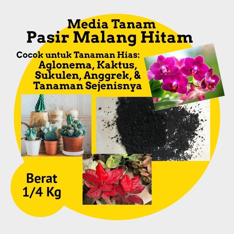 Pasir Malang Hitam Media Tanaman Hias Aglonema Anggrek Kaktus Sukulen