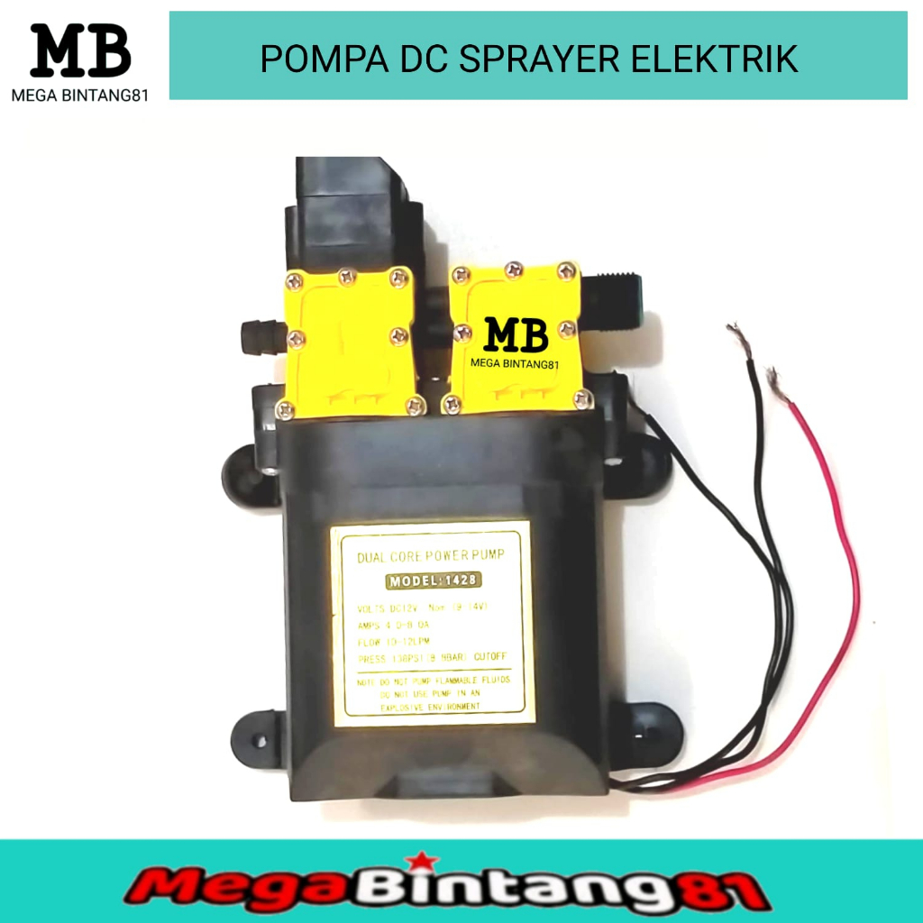 Pompa sprayer dc pompa dinamo DC mesin pompa dinamo pompa elektrik 138 psi 12V
