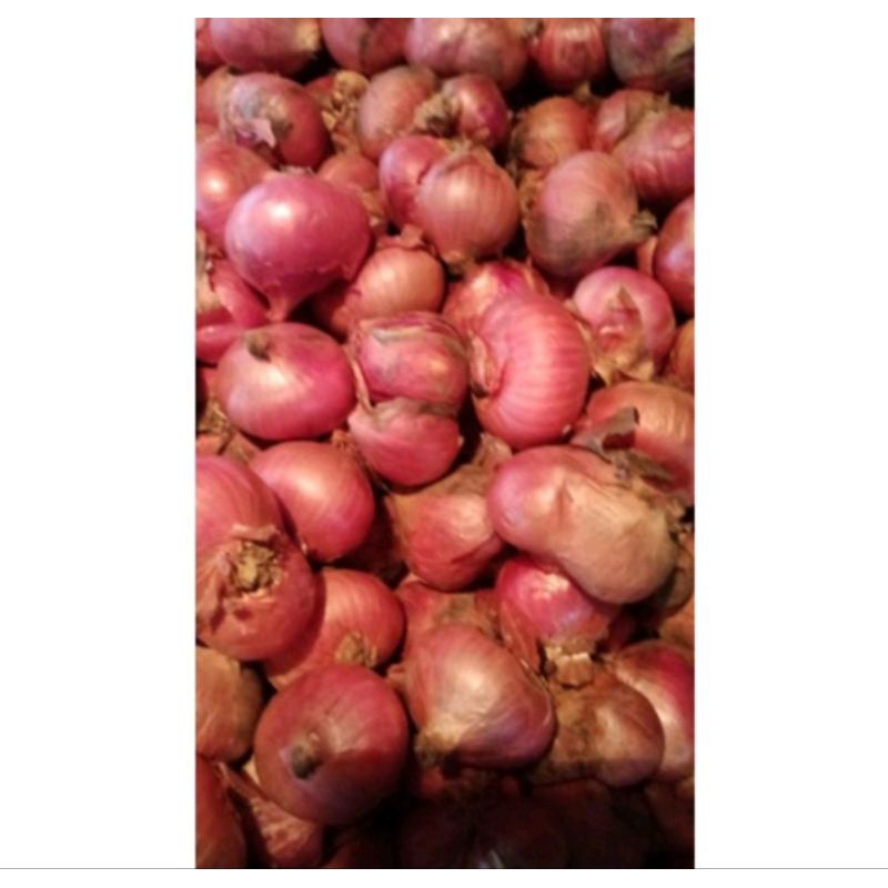 

bawang merah batu fresh dan kering