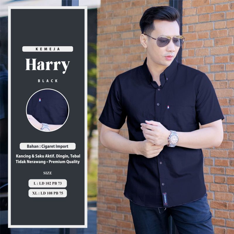 HARRY KEMEJA PRIA