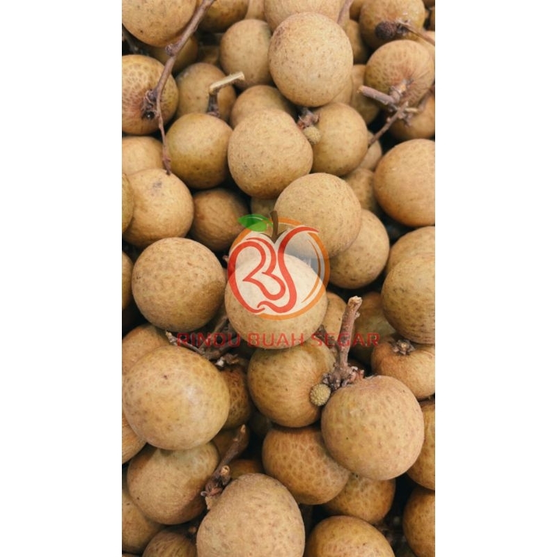 

buah kelengkeng