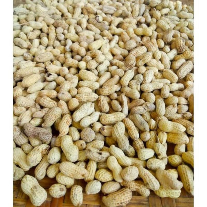 

[250gr] Kacang Kulit Oven