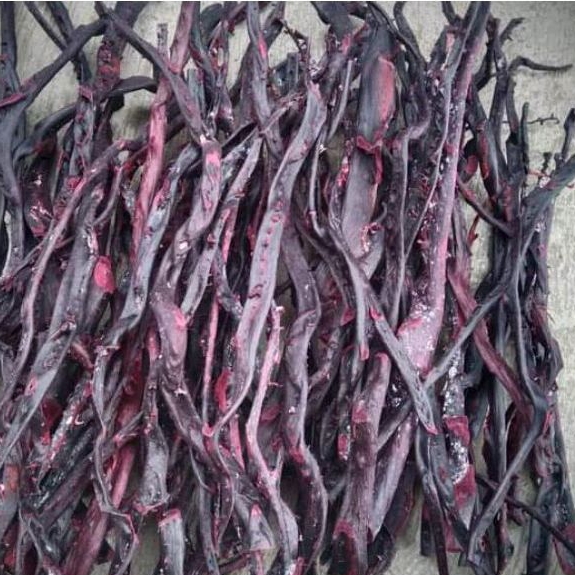 Bahan akar bahar merah cristal tembus cahaya1 batang/akar bahar merah asli