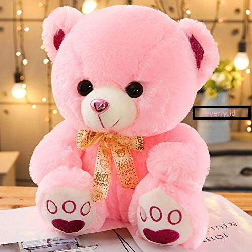 SNI ! Boneka Beruang Tedy Bear Impor Ukuran Jumbo 65 cm kado ulang tahun wisuda anak pacar teman laki perempuan pria wanita cowok cewek gemes import ori premium original Jumbo Sedang MINI KECIL everly.id everlyid gemoy lucu