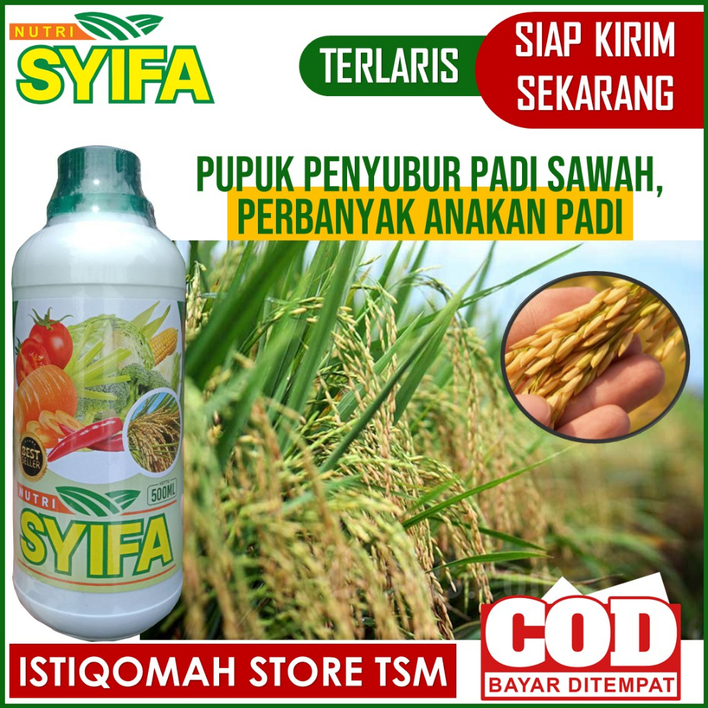 (SIAP KIRIM) Pupuk Npk Cair 500 ML Padi, Pupuk Organik Cair Tanaman Padi Paling Bagus, Obat Pertania