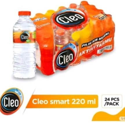 

Cleo Air Mineral Pack