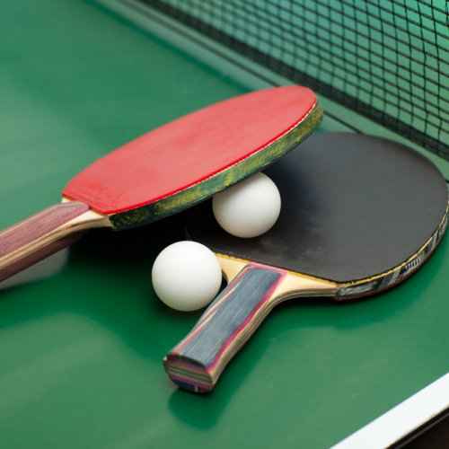 Bet Tenis Meja / Papan Tenis Meja / Bet Pingpong / Bet Kayu Tenis