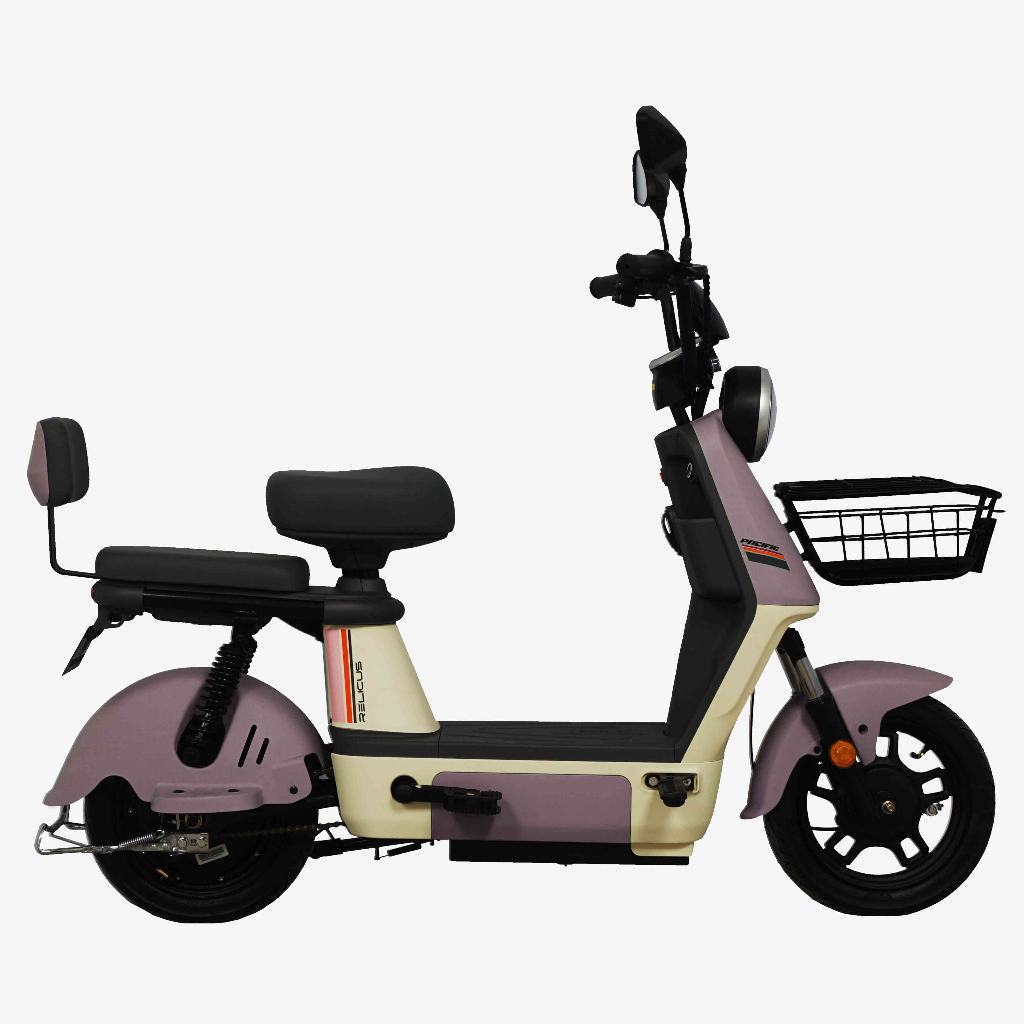 Sepeda Listrik Pacific Relicus 48V650W Electric Bike