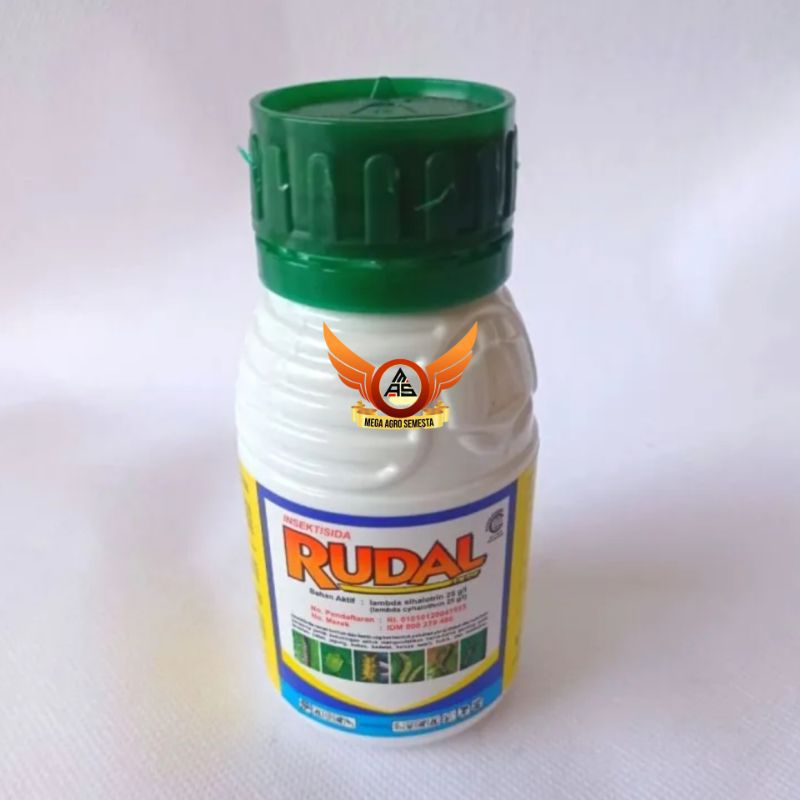 Rudal 25 EC( Lambda sihalotrin 25 g/l )

Insektisida racun kontak dan lambung berbentuk pekatan yang