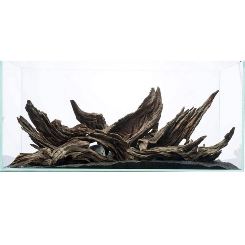 kayu rentek aquascape tenggelam dan keras