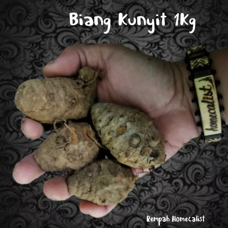 BIANG KUNYIT 1KG EMPU KUNYIT