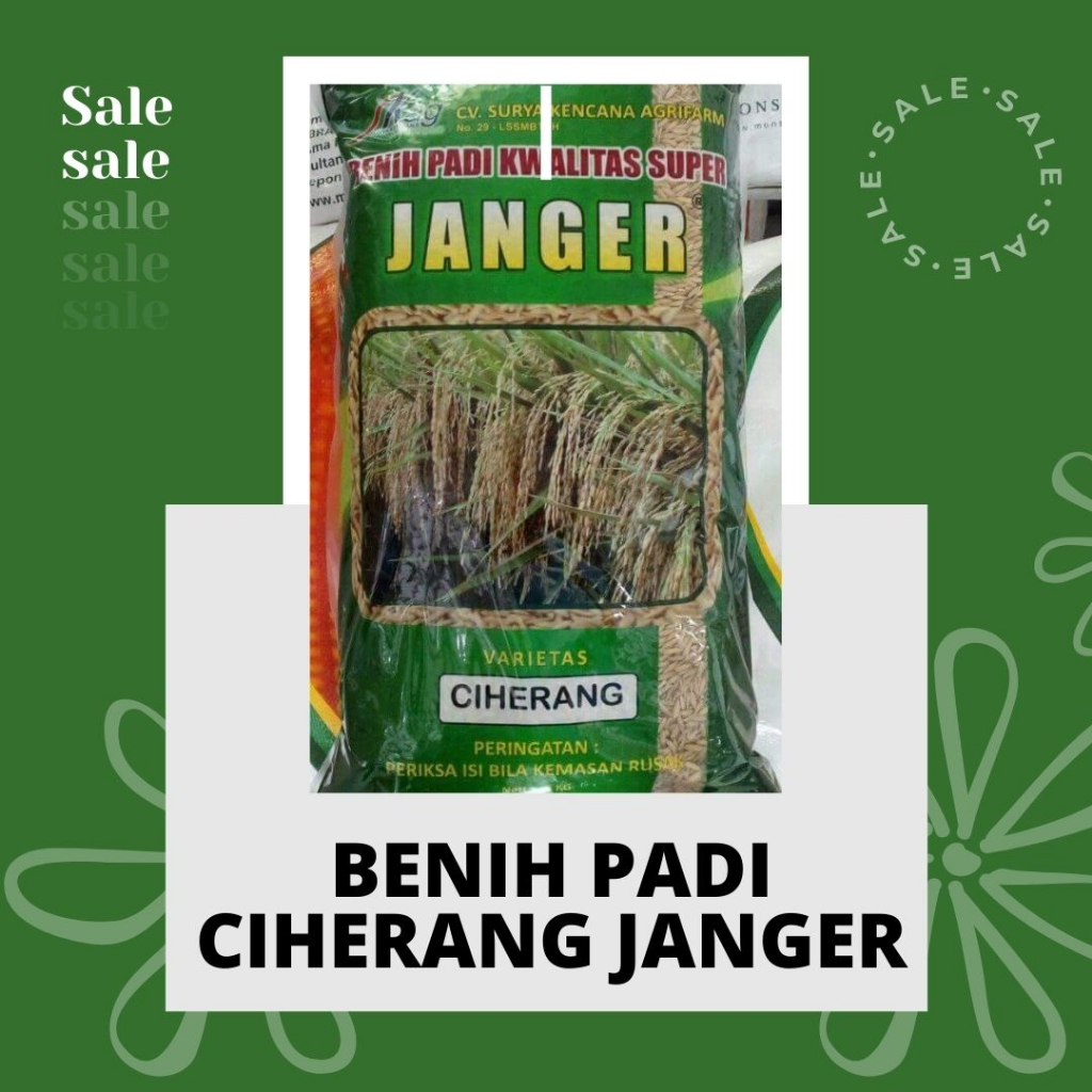 Benih Padi Unggul Ciherang Janger Kemasan 5 kg