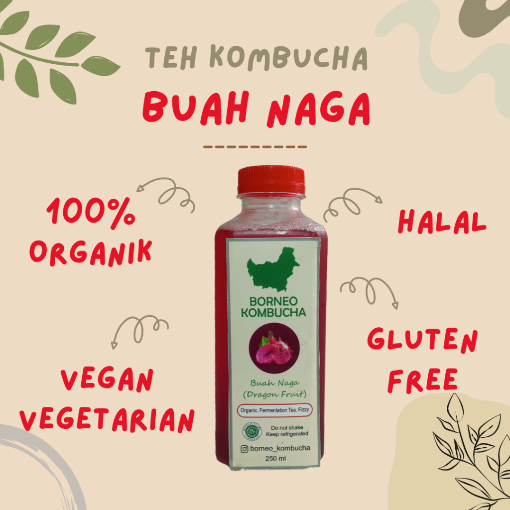 

BORNEO KOMBUCHA BUAH NAGA TEH PROBIOTIK ORGANIK HALAL 250 mL