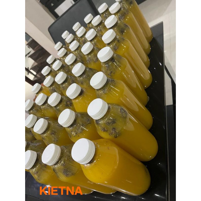 

SIRUP KIETNA MEDAN