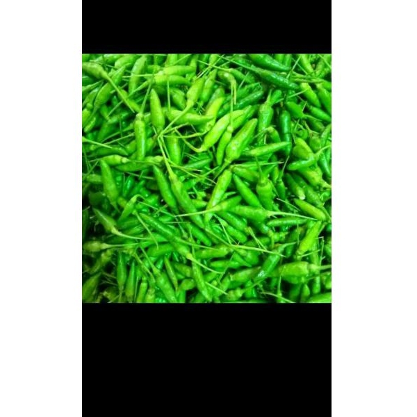 

cabe rawit ijo 500 gr seger