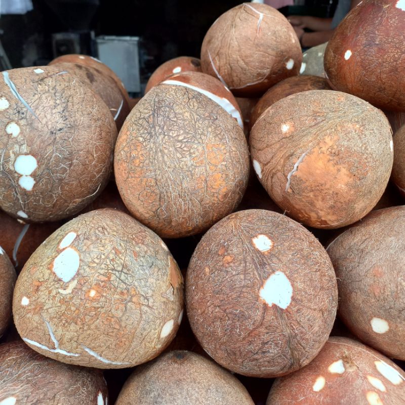 

Gudang Sayur - Kelapa Parut / Santan Kelapa