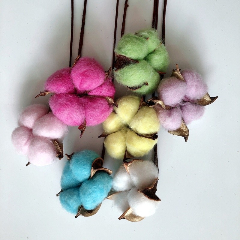 Cotton Dried Flower Artificial - Bunga Kapas Kering (1pc)