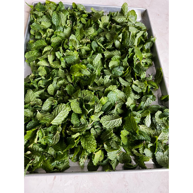 

Daun mint segar organik