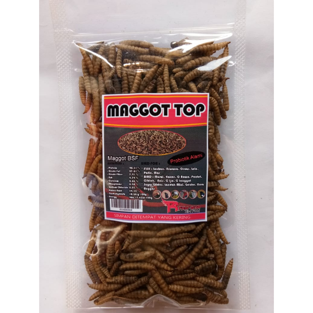 MAGGOT TOP KERING 100 GRAM TOPLES PROBIOTIK ALAMI PAKAN HEWAN