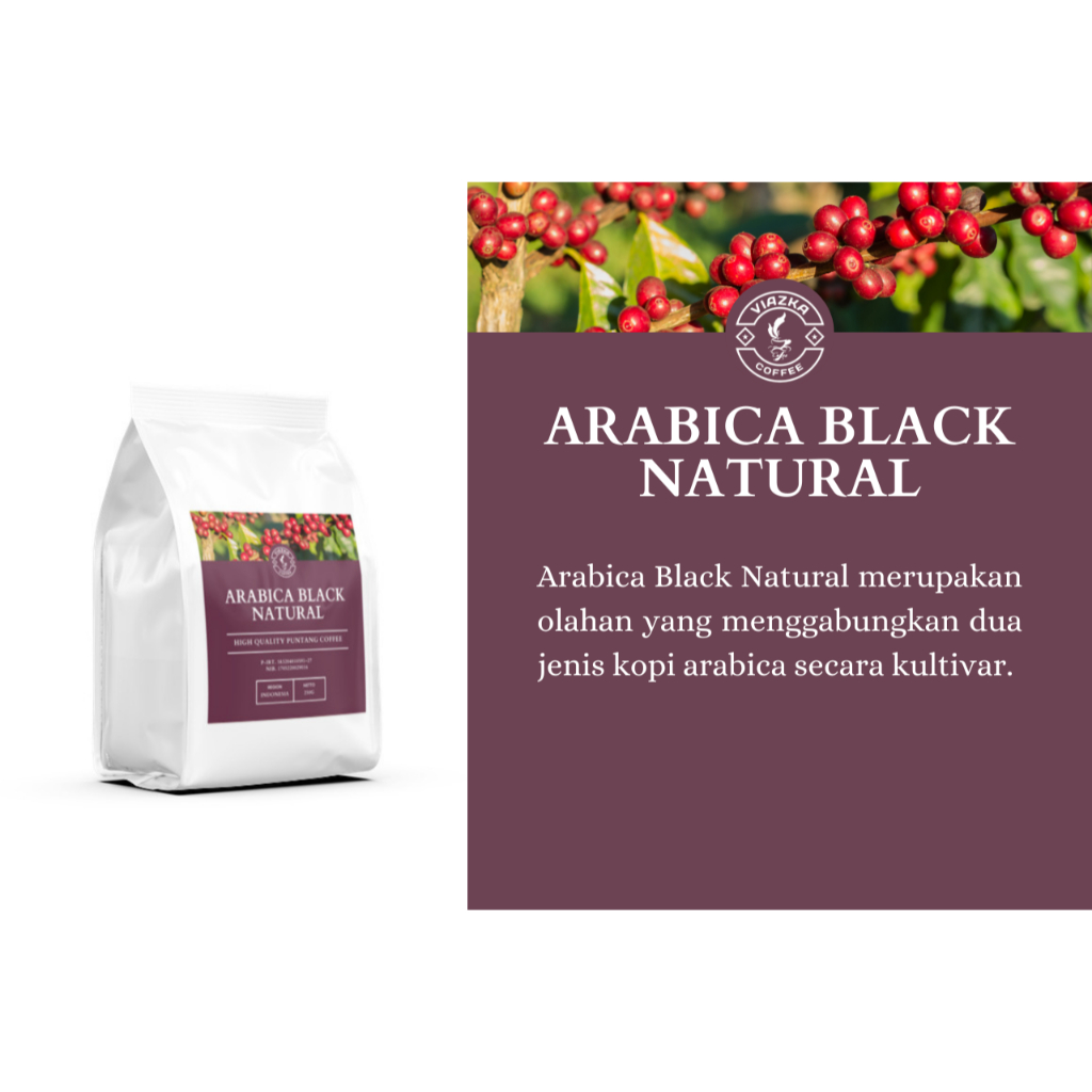 

Arabica Black Natural | Viazka Coffee Puntang