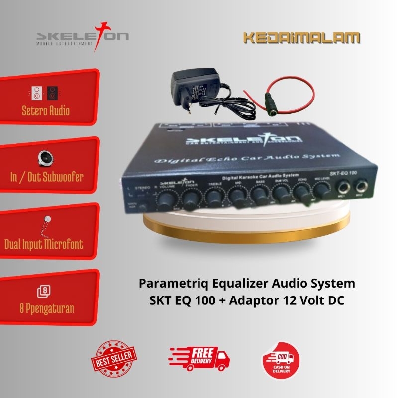 pre amp parametrik mobil karaoke merk skeleton rumahan