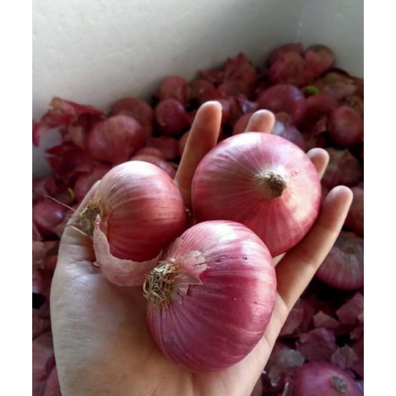 Bawang Merah India Import 1kg karung murah