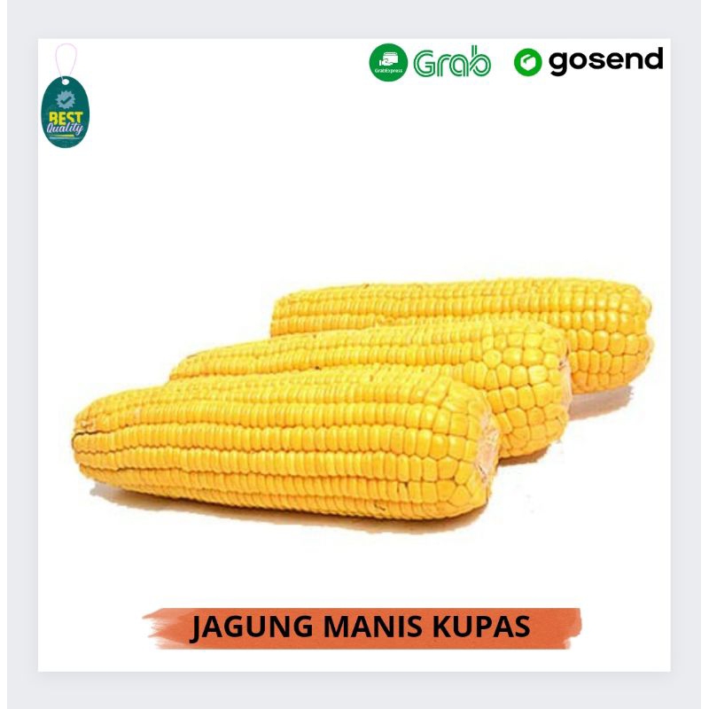 

Jagung Manis Kupas Segar - 500gr