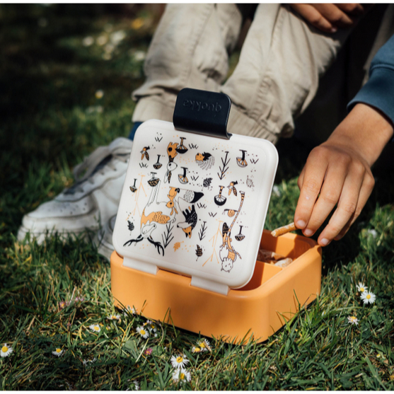 Quokka Kids Sandwich Box Twist - Tempat Makan Anak Unik Sekatan Sekat Divider Kotak Bekal Sekolah Lunch