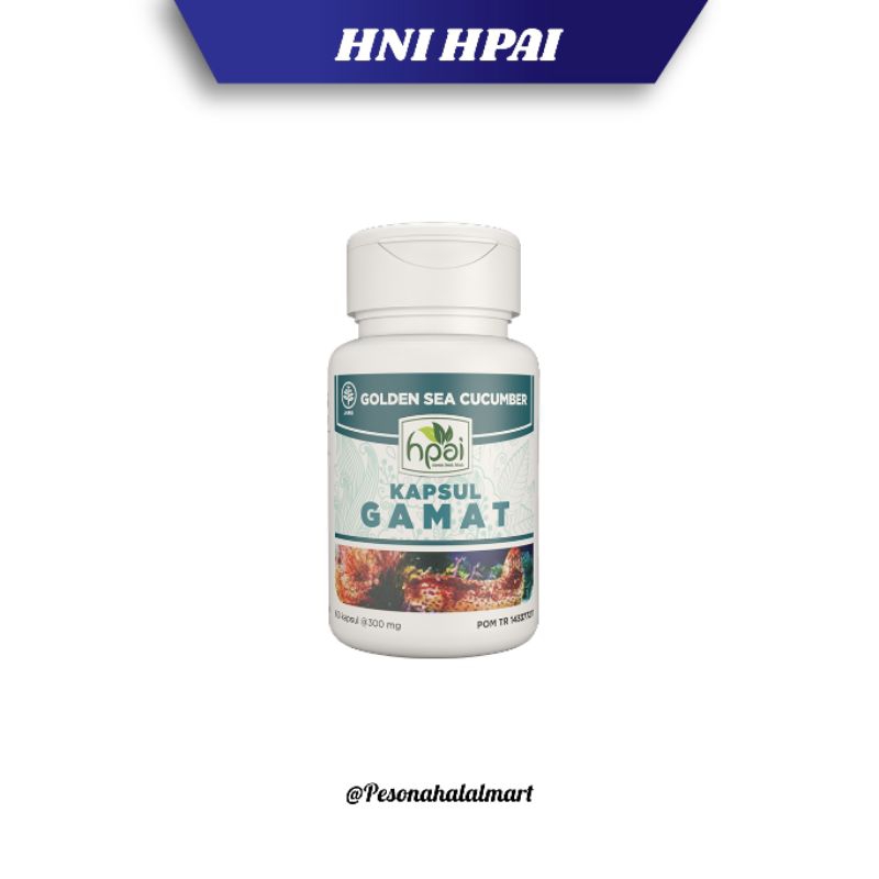 Gamat Teripang Emas HNI