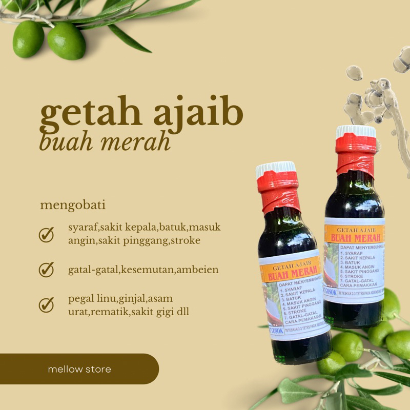 Getah ajaib buah merah obat tradisional khas papua indonesia